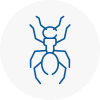 Ant Removals In St Austell