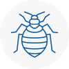 Bed Bug Extermination In St Austell