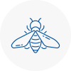 Bee Nest Removal St Austell