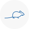 Mice Exterminators In St Austell