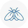 Moth Control Specialists In St Austell
