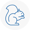 St Austell Rodent Removals